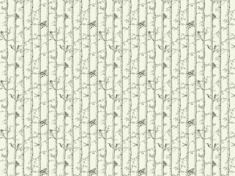 Birch trees wrapping paper overall view | © AG / Hieronymus