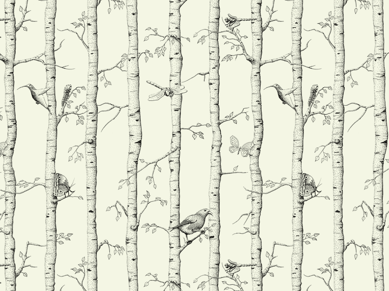 Birch trees wrapping paper detail | © AG / Hieronymus